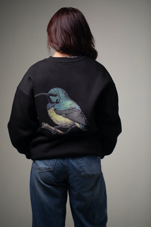 Sweater - Palestinian Sunbird