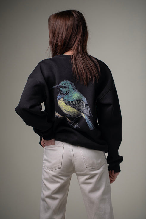 Sweater - Palestinian Sunbird