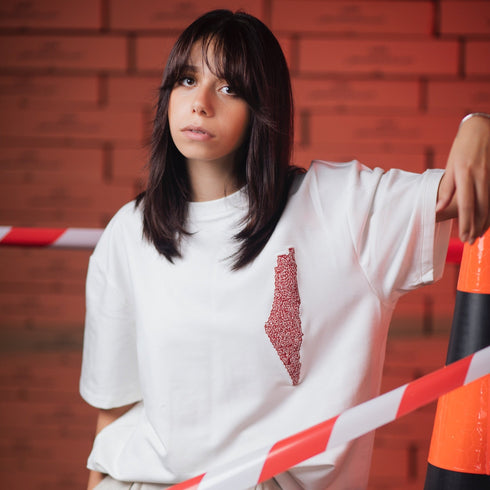 Oversized - Map of Palestine