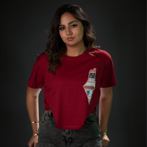 كروب توب - خريطة فلسطين