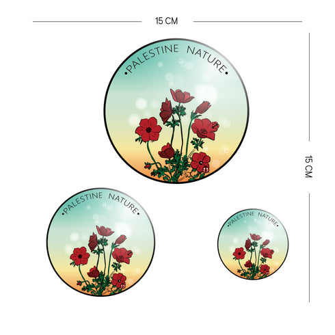 ستكر - شقائق النعمان