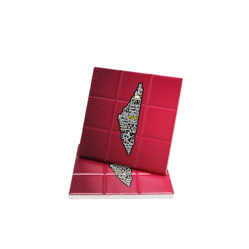 كوستر - خريطة فلسطين مدن