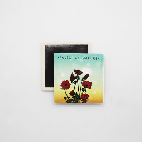 مغناطيس - شقائق النعمان