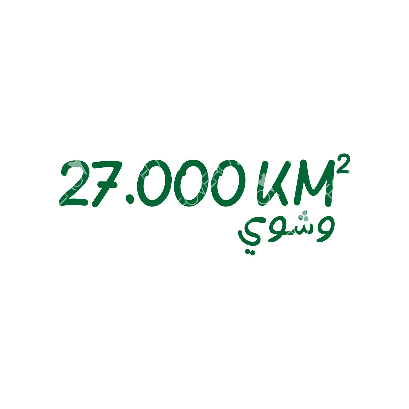 27000 وشوي