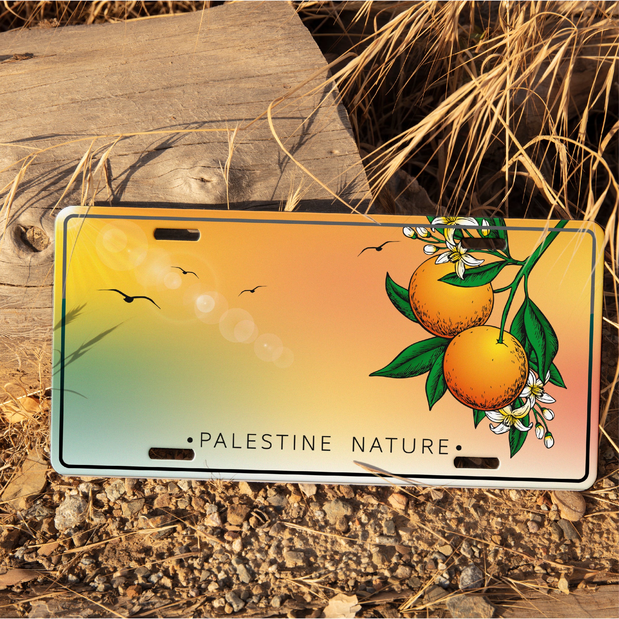 Car Plates - Palestinian orange